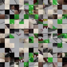 A cat image divided into shuffled tiles for Gator
