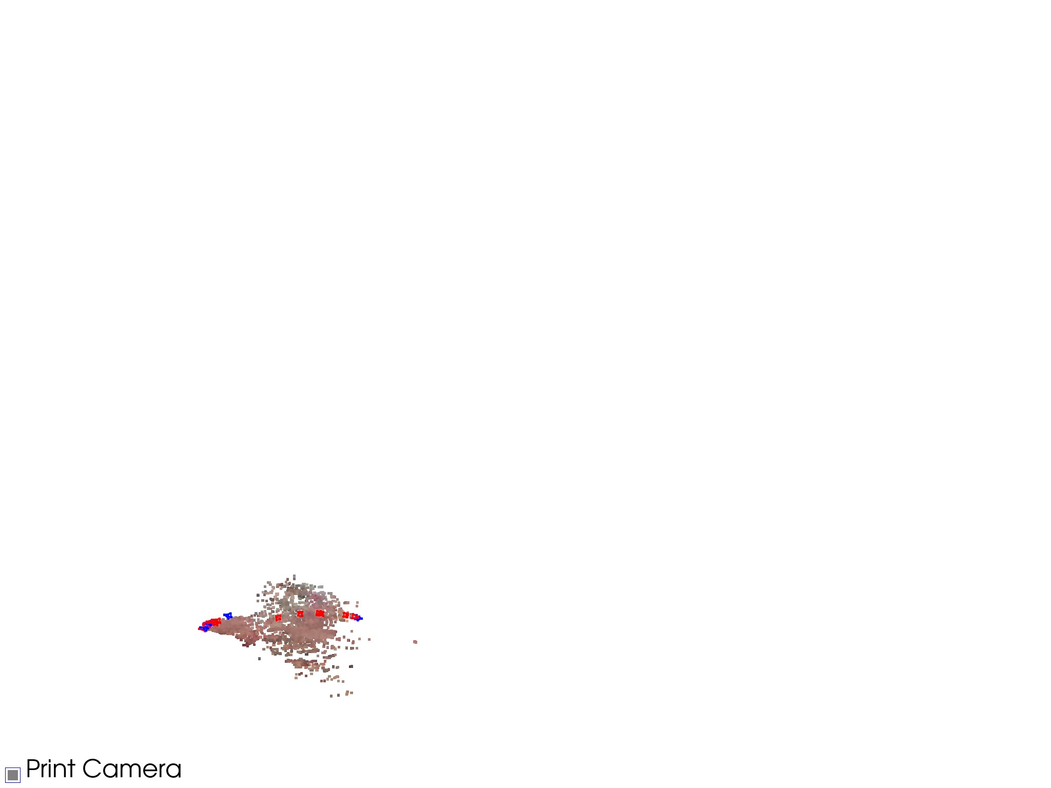 MINIMA ROMA Result